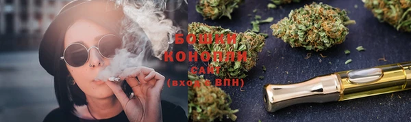 стаф Бородино