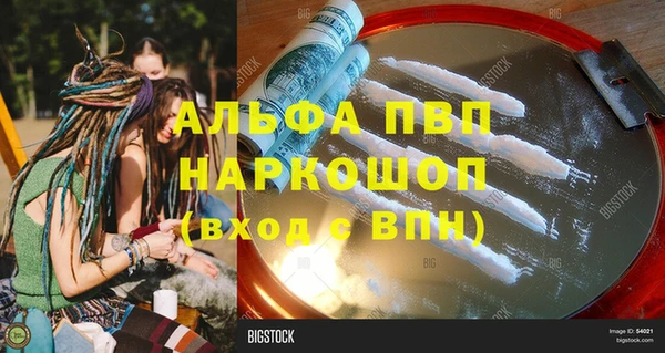 стаф Бородино
