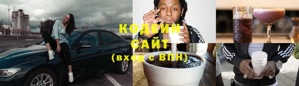 стаф Бородино
