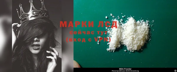 стаф Бородино