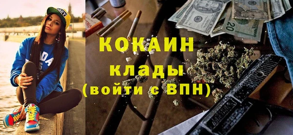 стаф Бородино