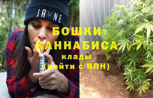 стаф Бородино