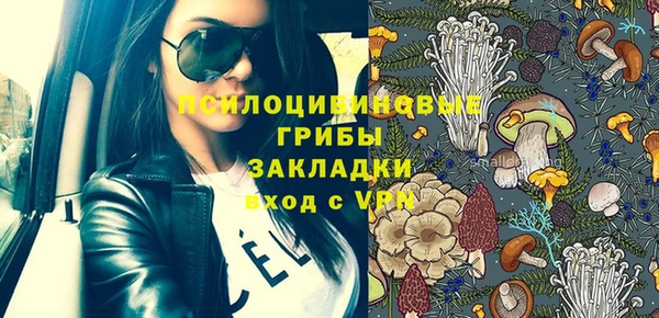 стаф Бородино
