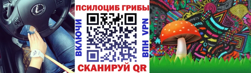 Галлюциногенные грибы прущие грибы Мамадыш